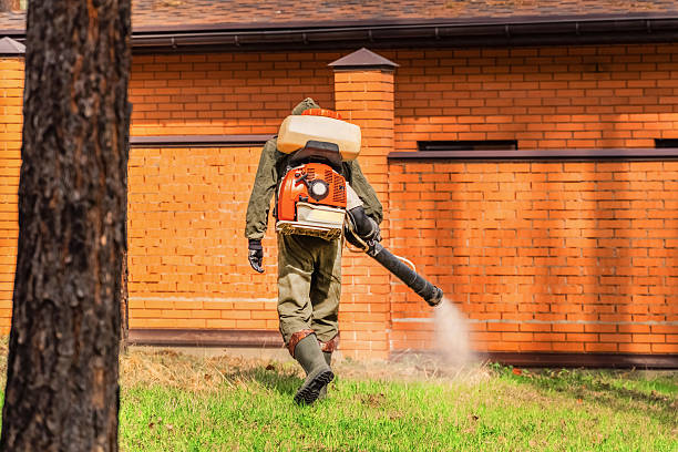 Trusted Ant Control service in Groveport, OH - Nex Pest Control